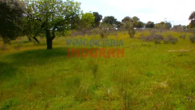 Rustic farm in Valdehúncar photo 8
