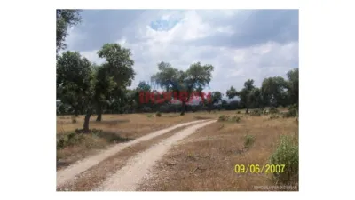 Finca rústica en Alcántara photo 4