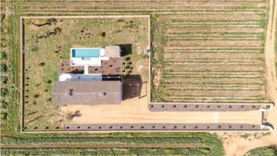 Rustic house in Binissalem photo 16