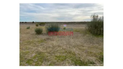 Finca rústica en venta en Casatejada - Vista 4