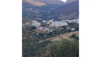 Rustic Finca in Alcaucín photo 2