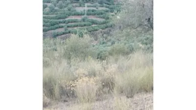 Rustic Finca in Alcaucín photo 7