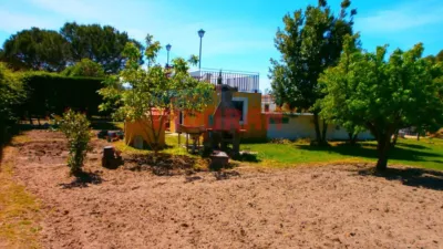 Finca rústica en Saucedilla photo 11