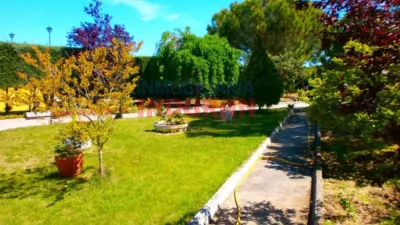 Rustic Finca in Saucedilla photo 4