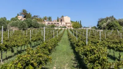 Casa rústica en venta en Manacor, Manacor de 9.500.000 €