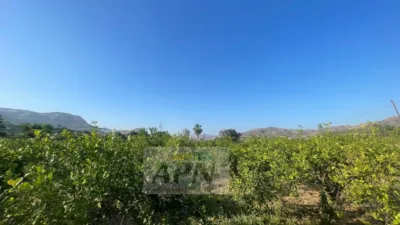 Rustic Finca in Álora photo 26