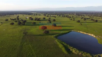 Finca rústica en venta en Saucedilla - Vista 4