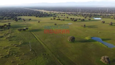 Finca rústica en venta en Saucedilla - Vista 5