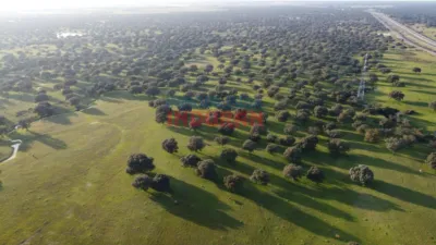 Finca rústica en venta en Saucedilla - Más