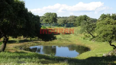 Finca rústica en Valdelacasa de Tajo photo 5