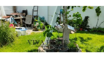 Semi-detached house in Morata de Tajuña photo 81