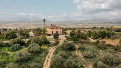 Rustic house in Son Gual photo 11