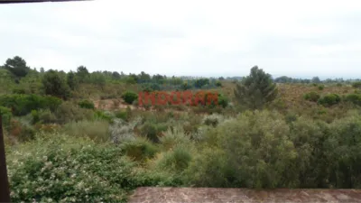 Finca rústica en Cuacos de Yuste photo 3