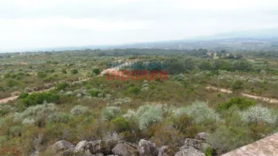 Finca rústica en Cuacos de Yuste photo 5