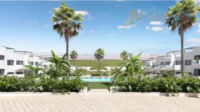 Pis – Torrevieja - Vista 3