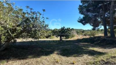 Terreno en venta en los Cerezos-La Mandarina-La Finca-Covatelles - Vista 5