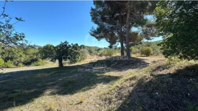 Terreno en venta en los Cerezos-La Mandarina-La Finca-Covatelles - Més