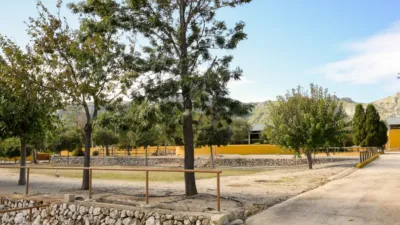 Rustic finca on Camí Pla de Lloret street photo 100