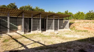 Rustic finca on Camí Pla de Lloret street photo 106