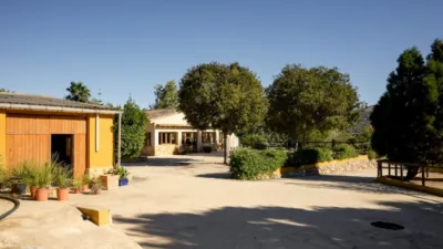 Rustic finca on Camí Pla de Lloret street photo 10