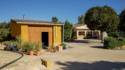 Rustic finca on Camí Pla de Lloret street photo 11