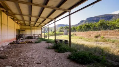 Rustic finca on Camí Pla de Lloret street photo 120
