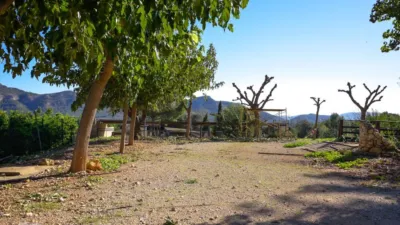 Rustic finca on Camí Pla de Lloret street photo 125