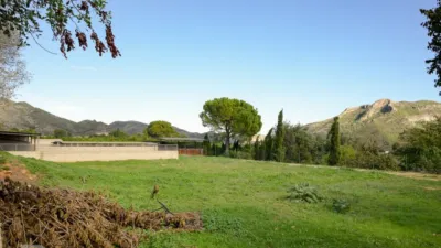 Rustic finca on Camí Pla de Lloret street photo 127