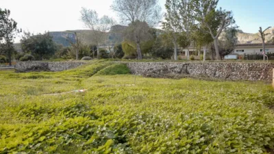 Rustic finca on Camí Pla de Lloret street photo 129