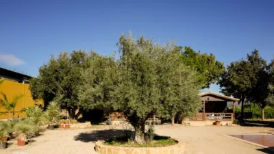 Rustic finca on Camí Pla de Lloret street photo 18