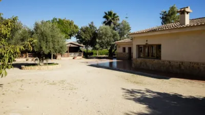 Rustic finca on Camí Pla de Lloret street photo 19
