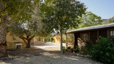 Rustic finca on Camí Pla de Lloret street photo 20