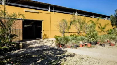 Rustic finca on Camí Pla de Lloret street photo 50