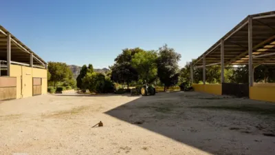 Rustic finca on Camí Pla de Lloret street photo 53