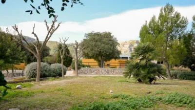 Rustic finca on Camí Pla de Lloret street photo 69