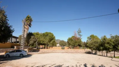 Rustic finca on Camí Pla de Lloret street photo 6