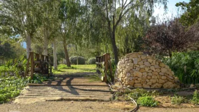 Rustic finca on Camí Pla de Lloret street photo 73
