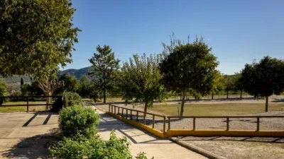 Rustic finca on Camí Pla de Lloret street photo 85