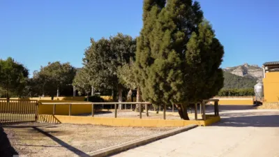 Rustic finca on Camí Pla de Lloret street photo 87