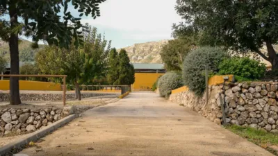 Rustic finca on Camí Pla de Lloret street photo 91