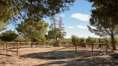 Rustic finca on Camí Pla de Lloret street photo 92
