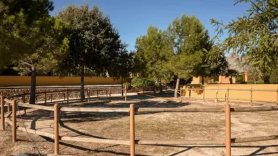 Rustic finca on Camí Pla de Lloret street photo 93