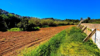 Rustic Finca in Coín photo 5