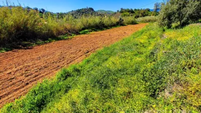 Rustic Finca in Coín photo 6