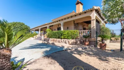 Casa – Elx - Elche - Vista 4