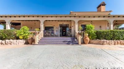 Casa – Elx - Elche - Vista 5