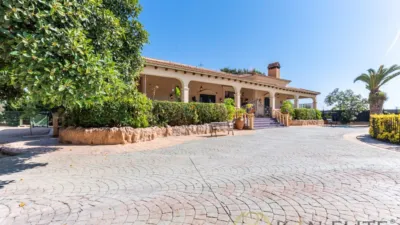 Casa – Elx - Elche - Més