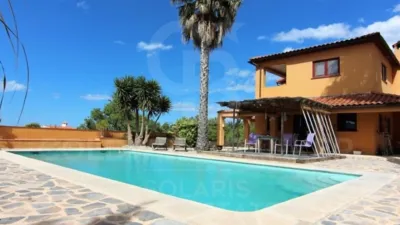 Rustic house in Pedreguer photo 4
