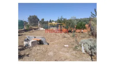 Rustic farm in Millanes photo 11