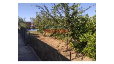 Rustic farm in Millanes photo 8